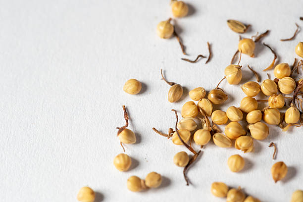 Closeup of ajwain seeds in dark background