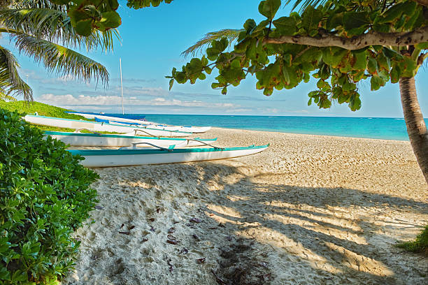 Canoes rest on the golden sands of a Hawaiian beach framed by lush tropical foliage, palm trees, and the sparkling blue sea under a clear sky, evoking a feeling of peace. Tropical Beach Paradise with Crystal-Clear Waters and Scenic Island Views, Ideal for Relaxation and Exploration. Lanikai Beach, located on Oahu's windward coast in Hawaii, is renowned for its stunning beauty and tranquil atmosphere. It boasts powdery white sand, crystal-clear turquoise waters