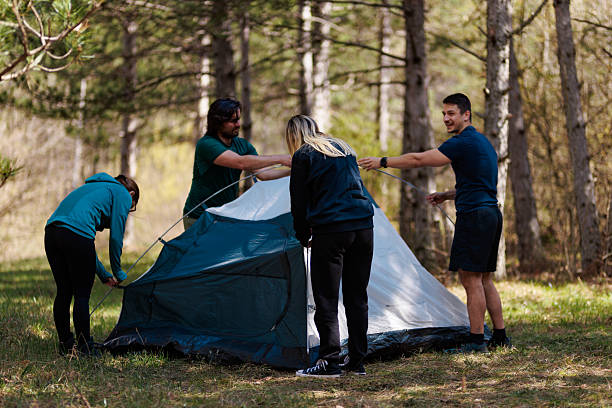 istock Friends setting up a camping tent in a serene forest during a sunny day while enjoying nature and teamwork 2238188217