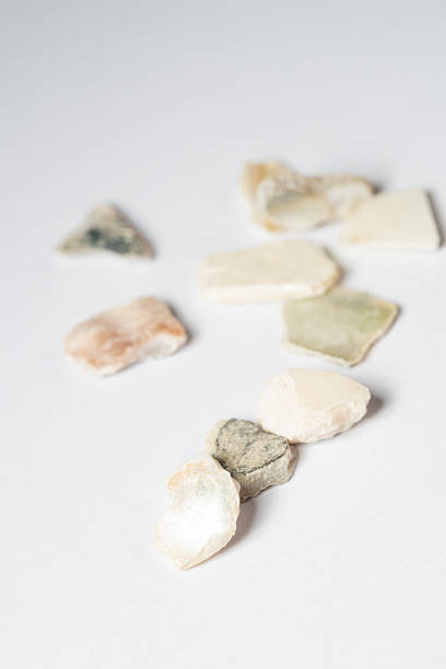 Nestled against a pristine white background, these studio shots capture the essence of traditional Chinese herbal decoction pieces. Each photograph highlights the unique texture, rich color, and natural form of ingredients. The clean, clinical aesthetic emphasizes purity and potency, making these images ideal for modern wellness brands, educational materials, and product packaging.