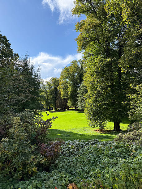 istock Green grass fields with trees in Oslo park 2238189541