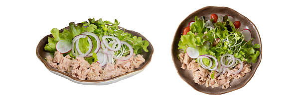 Tuna Salad Culinary Composition: A visually appealing image showcasing two distinct presentations of a fresh and flavorful tuna salad, artfully arranged with crisp lettuce, vibrant tomatoes.
