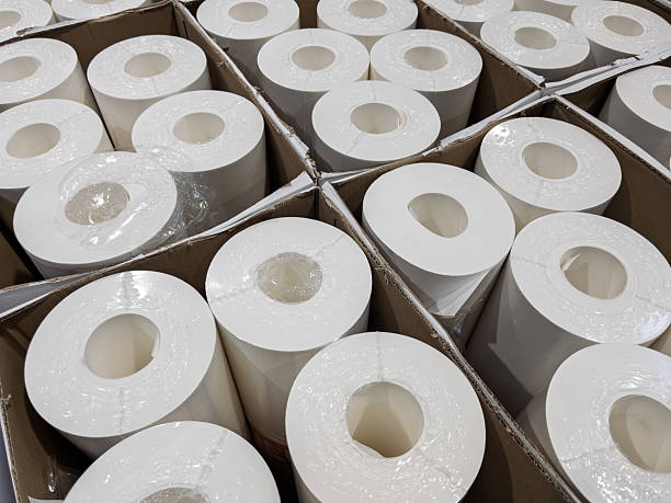 istock Bulk Supply of High-Quality Paper Rolls for Industrial Use 2238193388