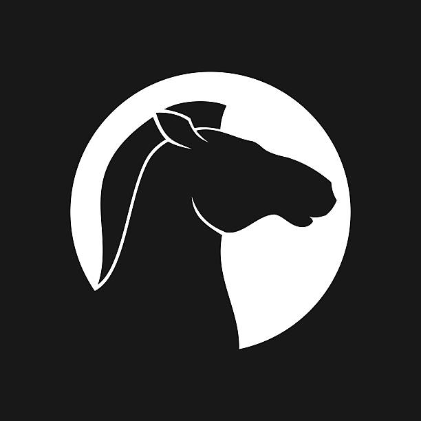 istock Horse head cut out in circle - horse head silhouette, vector icon, badge, sticker 2238200392