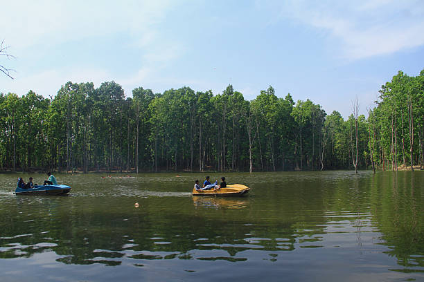 View from the front of a kayak paddling down a calm, lush green river with a gentle blur, capturing the essence of adventure and exploration.