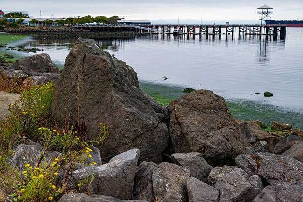 A view of the Port Angeles Waterfront on a still summer morning.