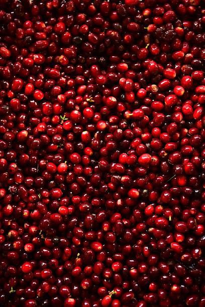 istock close up of fresh coffee beans 2238206078