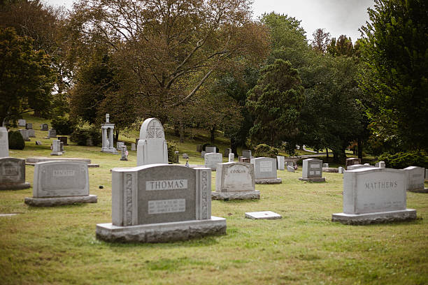 Green trees surround an old cemetery with gravestones scattered across grassy hills sunlight filters through leaves creating a peaceful and reflective atmosphere in nature