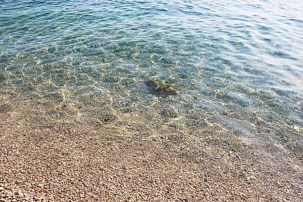 Sea Water and Beach Coast in Drvenik, Croatia