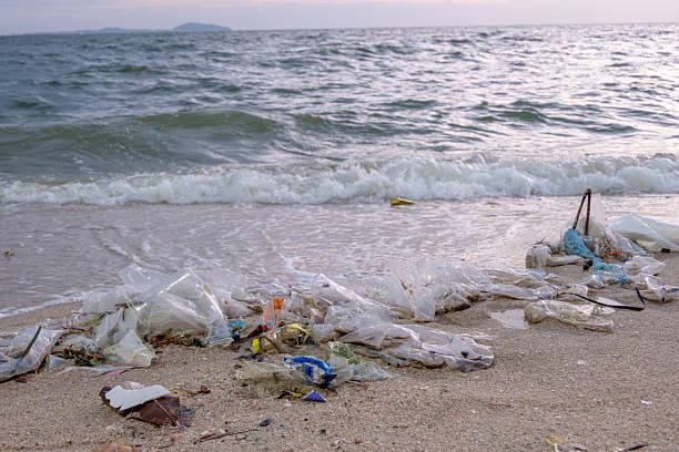 istock Dirty sea sandy shore ,Environmental pollution,Plastic water bottles pollution in ocean (Marine debris) 2238211628