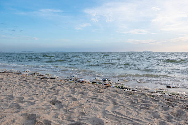 istock Dirty sea sandy shore ,Environmental pollution,Plastic water bottles pollution in ocean (Marine debris) 2238211633