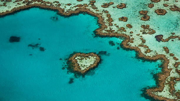 istock Heart Reef Aerial View 2238211856
