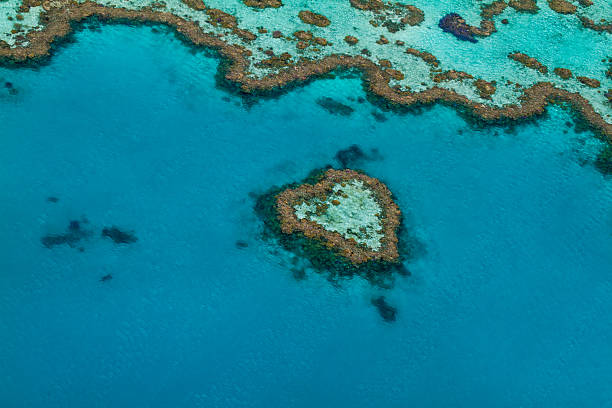Aerial photograph of the Heart Reef in the Great Barrier Reef, Queensland, Australia.