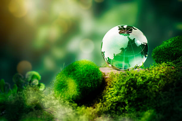 istock Glass globe on green moss with eco friendly concept, symbolizing sustainability, earth conservation, nature care 2238215880