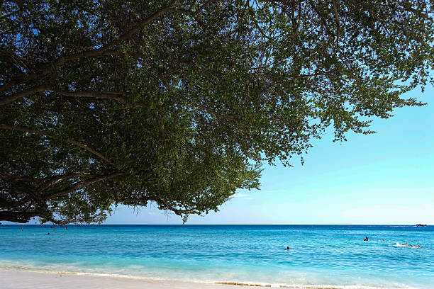 Gili Trawangan, Indonesia, July 2025.