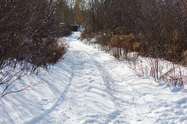 A snow-covered path with a few trees in the background. The path is covered in snow and has a few footprints, indicating that someone has been walking on it. The snow is deep and the trees are bare