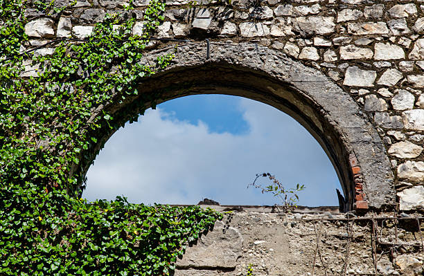 A window with ivy growing out of it. The window is arched and has a reflection of the sky in it