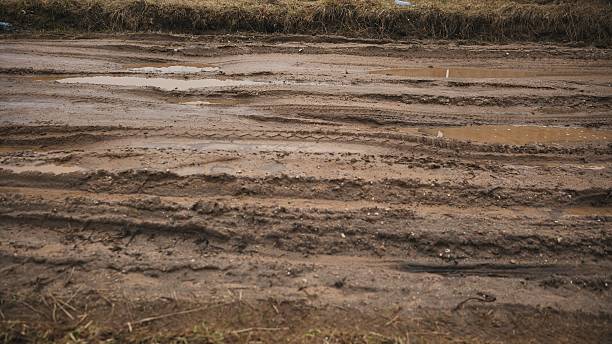 istock Broken country dirt road with a swamp. 2238237113