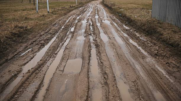 istock Broken country dirt road with a swamp. 2238237181