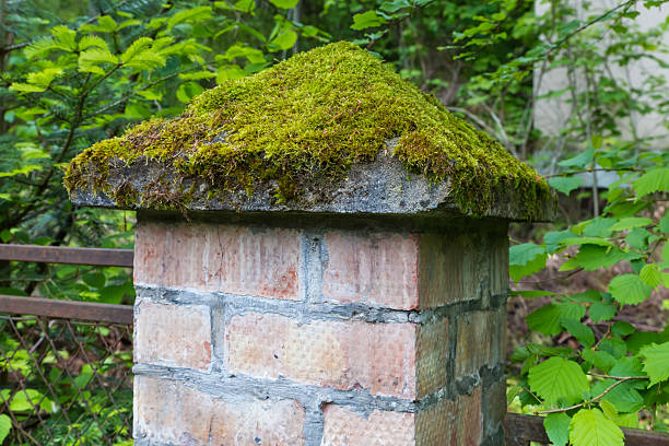 Brick pole of the metal mesh fence with stone top overgrown with moss against the trees branches in old park at overcast day