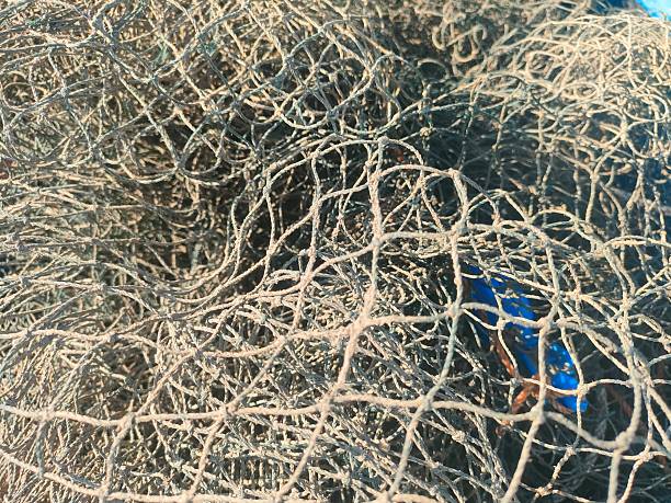 Close-up of tangled wire mesh with a hint of blue object beneath. Ideal for industrial, fishing gear, texture, or abstract-themed visual content
