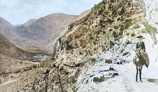 istock Antique Photograph: Woman and donkey, Colorado, Georgetown Pass 2238242210