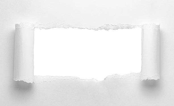 istock Torn curled paper or cardboard message backdrop with rough edges and blank copy space for text in the middle on white background design element 2238248225