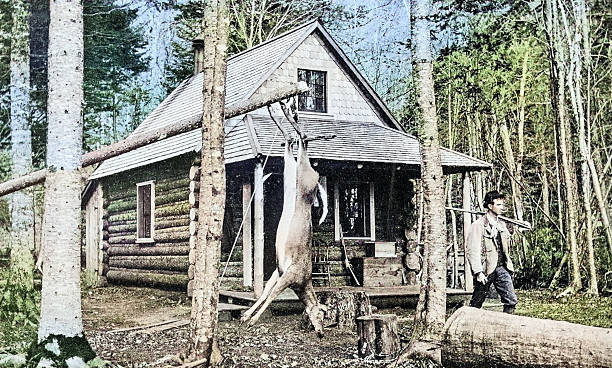 Antique Photograph: Maine woods