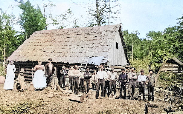 Antique Photograph: Maine woods