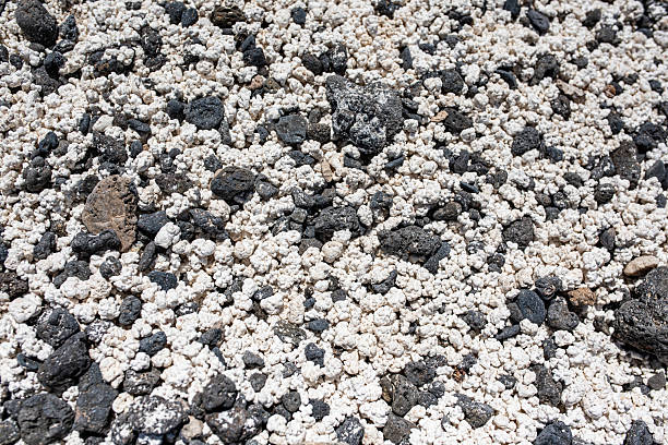 pop corn beach corralejo popcorn strand Fuerteventura