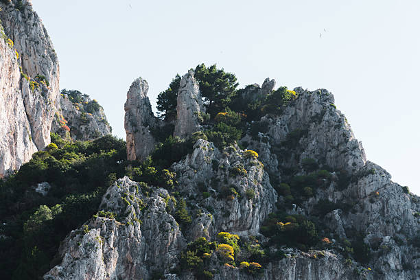 Capri, Italy - 04.29.2025: view of a white mountain range formation, with two sharp protrusions; partial vegetation of trees and shrubs.