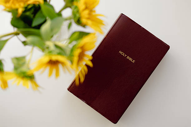 Bible and vase with bright sunflowers on a white background, top view. Minimalist composition with natural light, perfect for faith, nature, and lifestyle themes.