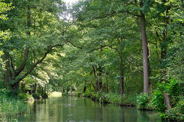 istock Idyllic river in the Spreewald with reflections in the clear water 2238260924