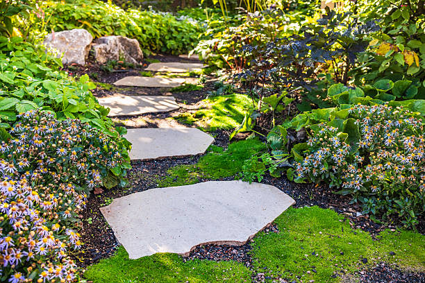 istock Path with large stone slabs through a beautifully planted garden 2238262537