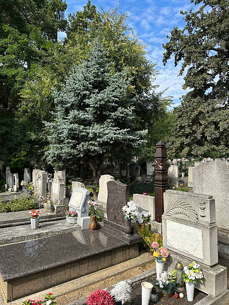 istock Tombstones in the public cemetery 2238263021