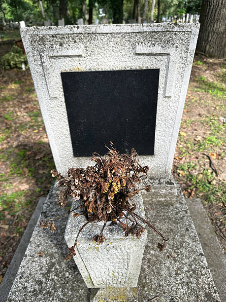 istock Tombstone in the public cemetery 2238263033