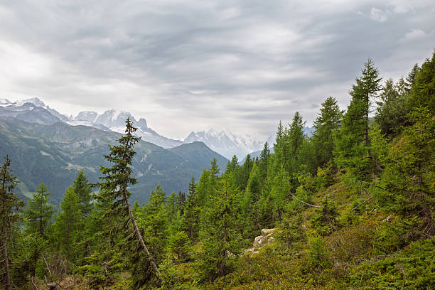 istock Subalpine forest landscape in Swiss Alps 2238263118