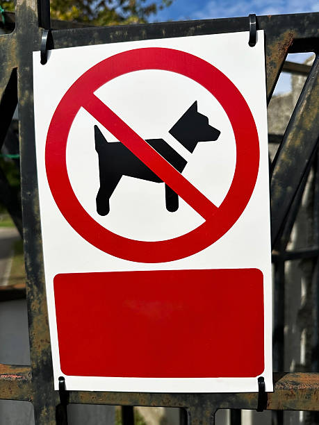 istock No dogs allowed sign on a fence 2238263165