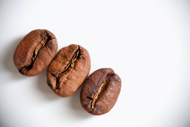 Close-up of freshly roasted coffee beans