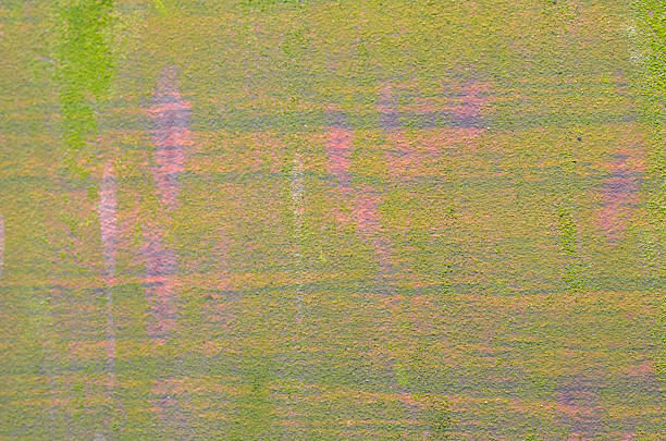 a wall with green and pink organic growth over visible grid lines, representing natural decay, dampness, and environmental transformation.