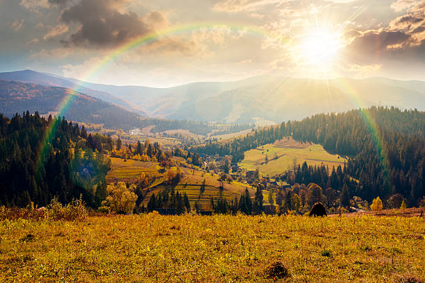 istock landscape with coniferous forest behind the meadow in autumn at sunset 2238269313