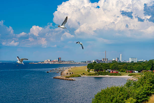 Coastal landscape on Kınalıada with a rocky foreshore and boulders at the waterline, the calm blue Marmara Sea, and small islets on the horizon beneath a clear sky.