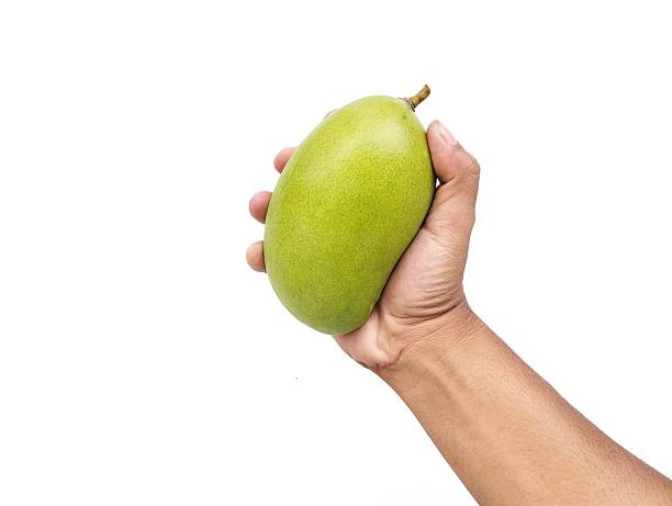 istock Man hand holding a fresh mango isolated on white background 2238279207