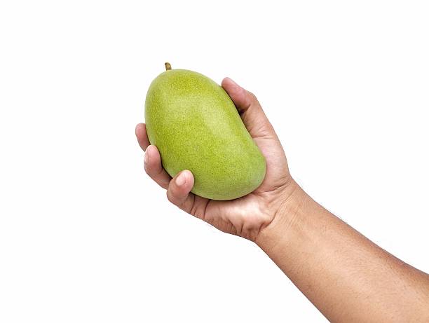 istock Man hand holding a fresh mango isolated on white background 2238279229