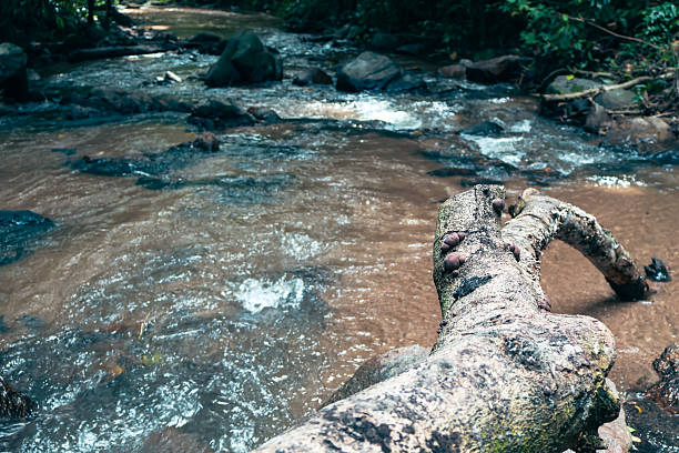 istock Tranquil river scene, clear water flowing over smooth stones, serene nature backdrop ideal for relaxation or meditation. 2238281958