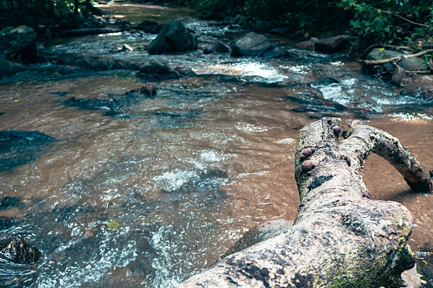 istock Tranquil river flowing over smooth stones, serene natural landscape, ideal for relaxation or nature-themed content. 2238281960