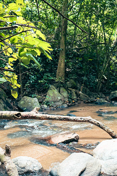 istock Serene garden setting, lush greenery surrounding smooth rocks and pathways, ideal for relaxation and meditation. 2238282005