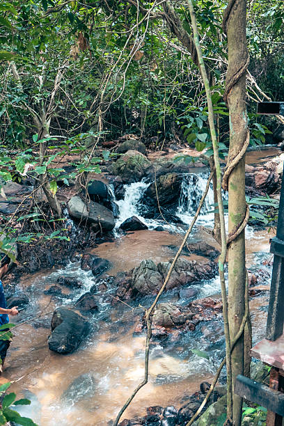 istock Tranquil forest stream, lush greenery surrounds gentle waterfall, serene nature scene perfect for relaxation or meditation. 2238282043