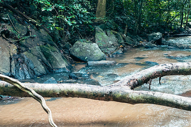 istock Serene natural environment featuring a gentle stream, lush greenery, smooth stones, perfect for relaxation and nature lovers. 2238282617