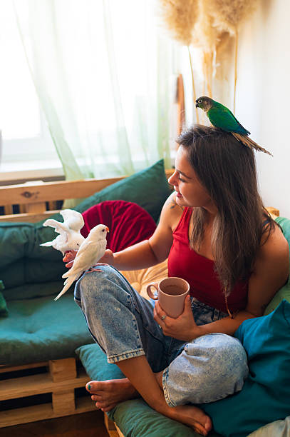istock Young happy woman playing with her parakeets at home 2238284518
